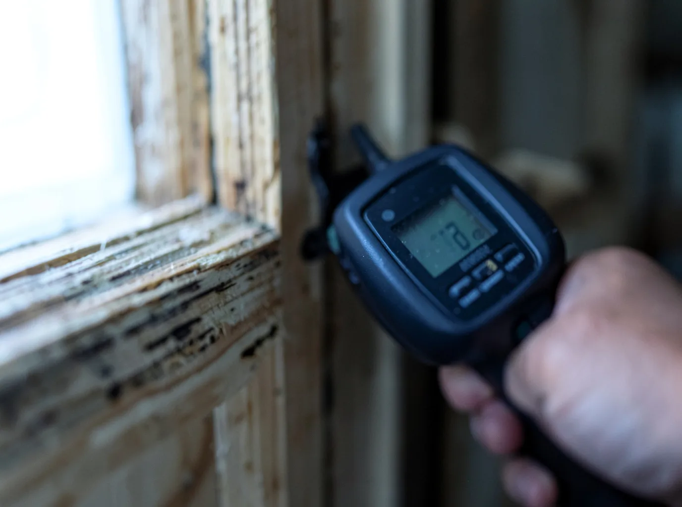 Water Damage Restoration Palm Bay, FL FAQs